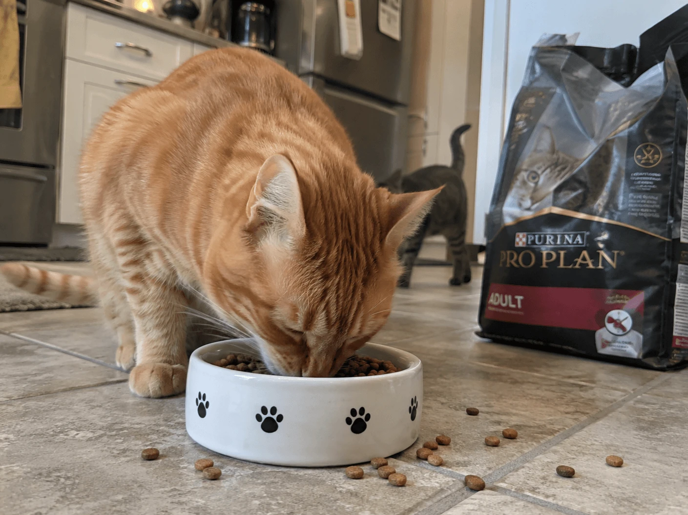 Purina Pro Plan