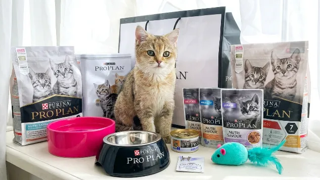 Purina Pro Plan campaign